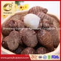 Best Quality Chinese Eddo in Bulk Taro